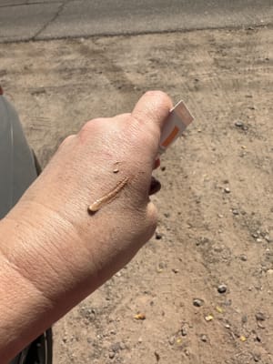 View Gallery Image #5