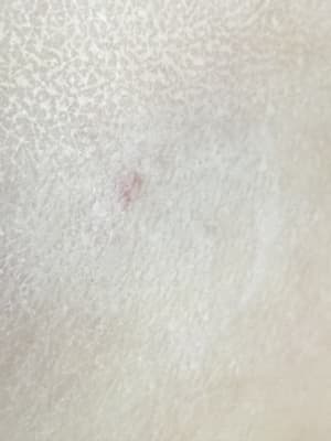 View Gallery Image #6