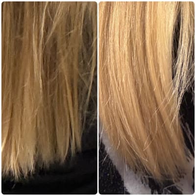 View Gallery Image #16