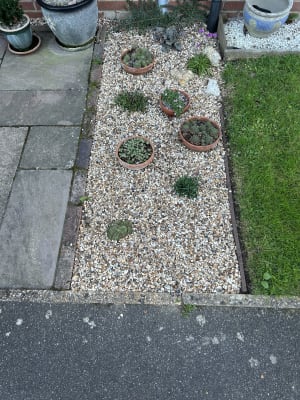 10mm pea 2025 shingle wickes