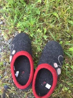 Acorn dara sales slippers