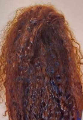 View Gallery Image #16