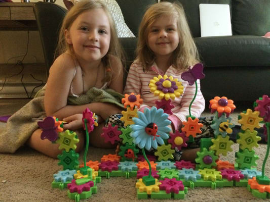Build and sales bloom building set