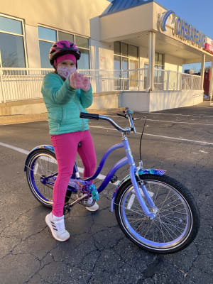 Electra Enchanted Jungle Bicycle iriginal 20