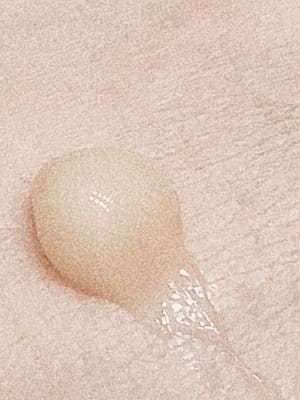 View Gallery Image #7