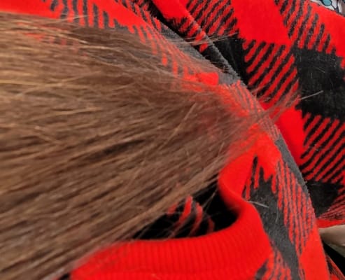 View Gallery Image #1