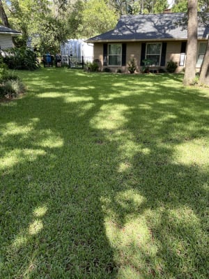 Image for Weeds Southern Lawn Weed Killer for St ...