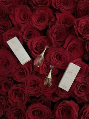 View Gallery Image #9