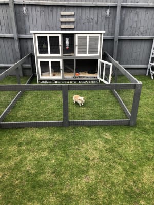 Pets At Home Bluebell Hideaway Guinea Pig And Rabbit Hutch 5ft Grey White Pets At Home