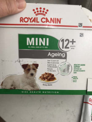 Royal Canin Mini Breed Ageing 12 Wet Senior Dog Food Chunks in