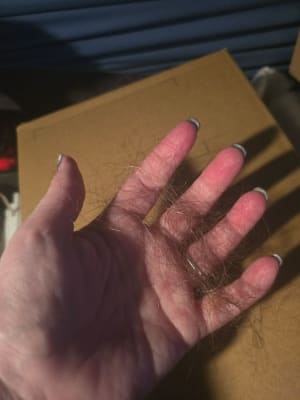 View Gallery Image #11