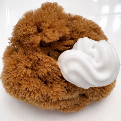 View Gallery Image #14