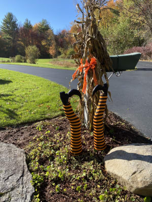 Kangaroo Wicked Witch Legs Decoration – Halloween Witch Decorations Legs For Wreath, Yard Stake – Upside Down Witches Legs Halloween Decorations For Spooky Party Funny Witch Décor –1 Pair (18 Inches