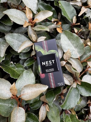 View Gallery Image #11