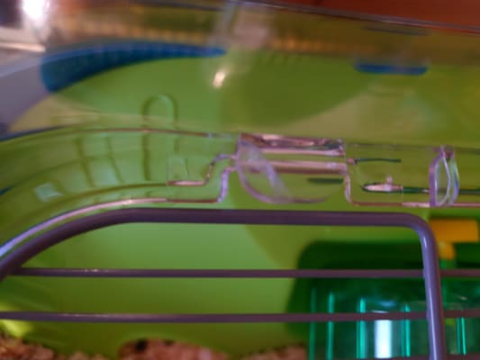 Savic spelos xl entry dwarf hamster and mouse home best sale