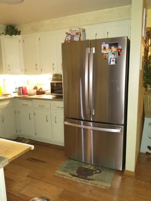 ge gne29gynfs refrigerator