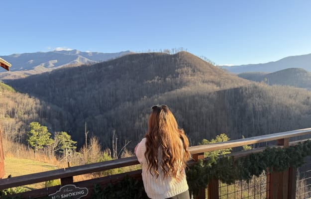 View Gallery Image #5