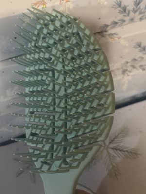 View Gallery Image #7