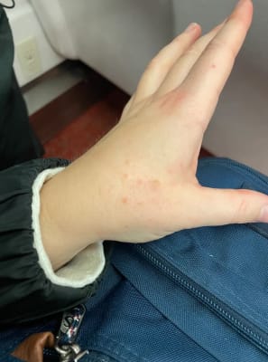 View Gallery Image #3