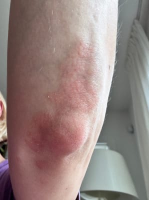 View Gallery Image #16