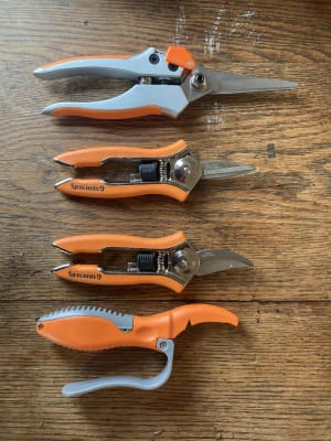 Pocket Snips - Orange - Herb Tools | Gardener's Supply Company