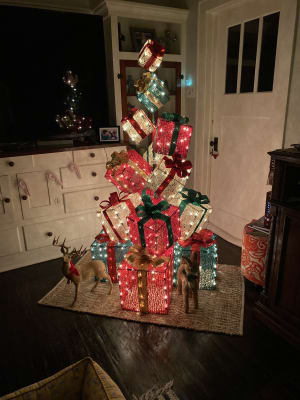 Big lots christmas box clearance