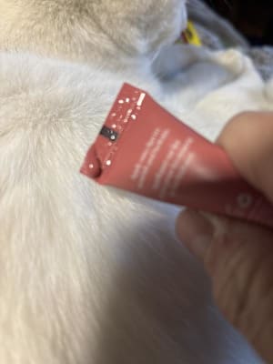 View Gallery Image #3