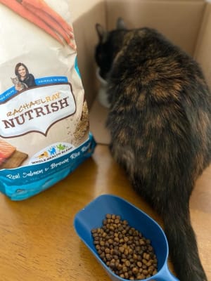 Nutrish Real Salmon Brown Rice Recipe Dry Food for Cats