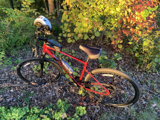 Giant roam 3 hotsell disc 2021 hybrid bike