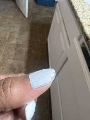 View Gallery Image #4