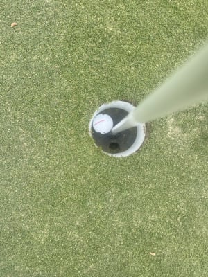 GOLF][WOMEN]ドビーストレッチ パンツ｜Psycho Bunny｜サイコ