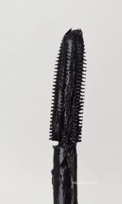 View Gallery Image #7