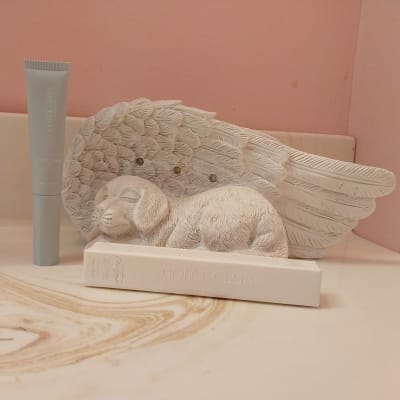 View Gallery Image #5