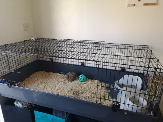 Ferplast 140 hotsell rabbit cage