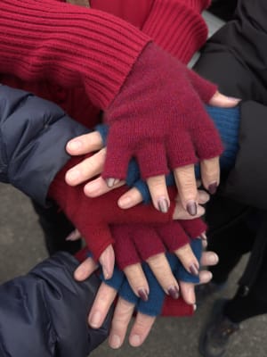 Possum Open Finger Gloves : David Morgan