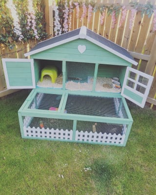 Pets at Home Blossom Guinea Pig Hutch Green White Pets At Home