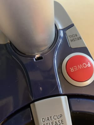 Vacuum Upright Power Pet 