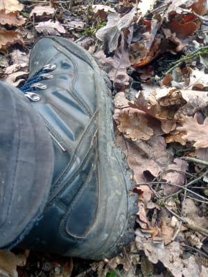 Skechers Relment Traven Relaxed Fit Hiking Boots | Rogan's Shoes