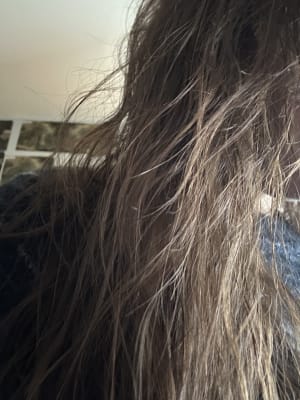 View Gallery Image #14