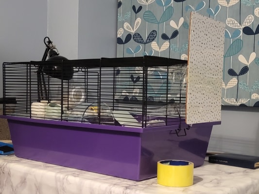 Pets at Home Wire Hamster and Mouse Cage Pets At Home