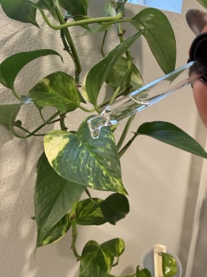 View Gallery Image #15