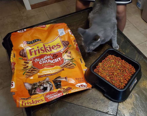 Murdoch s Friskies Grillers Blend Cat Food