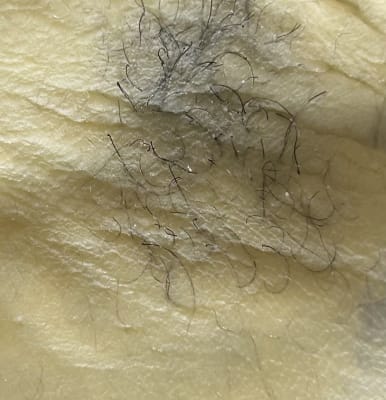 View Gallery Image #1