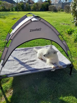 Lidl dog crate hot sale