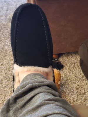 Ascot Slipper | UGG