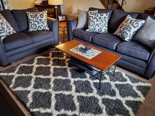 Big lots hot sale flannel charcoal sofa