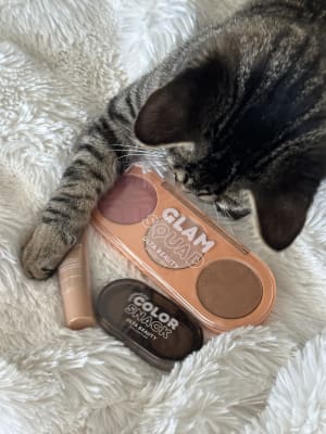 View Gallery Image #6