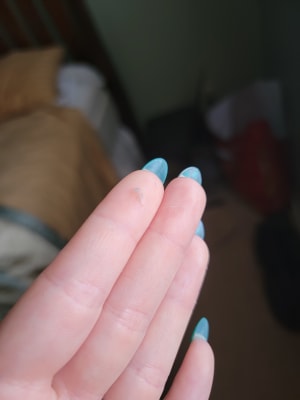 View Gallery Image #7