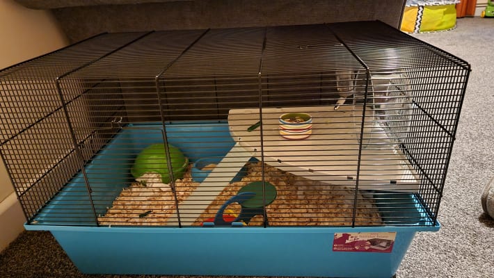 Pets at home deals extra large hamster cage