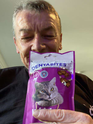 Whiskas dentabites new arrivals